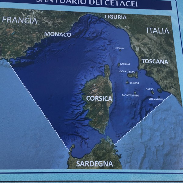 エルバ島地図